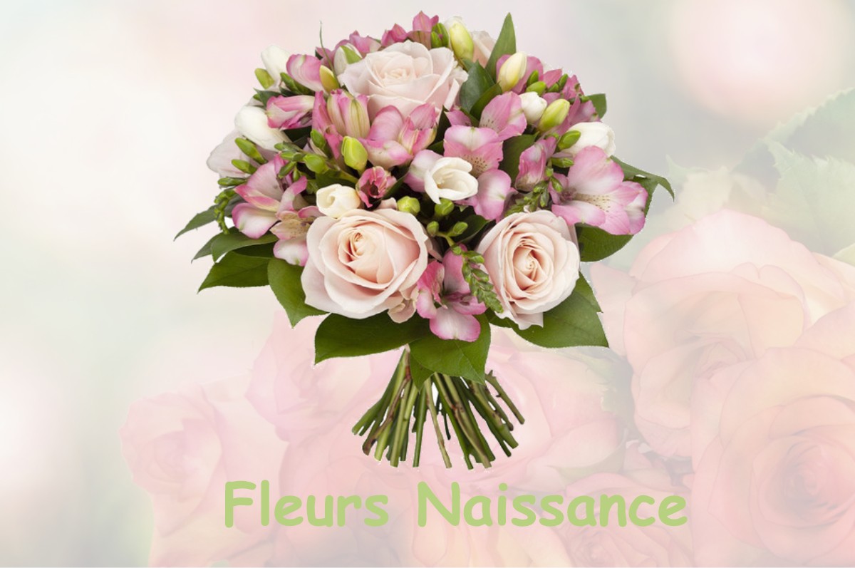 fleurs naissance TREFFORT