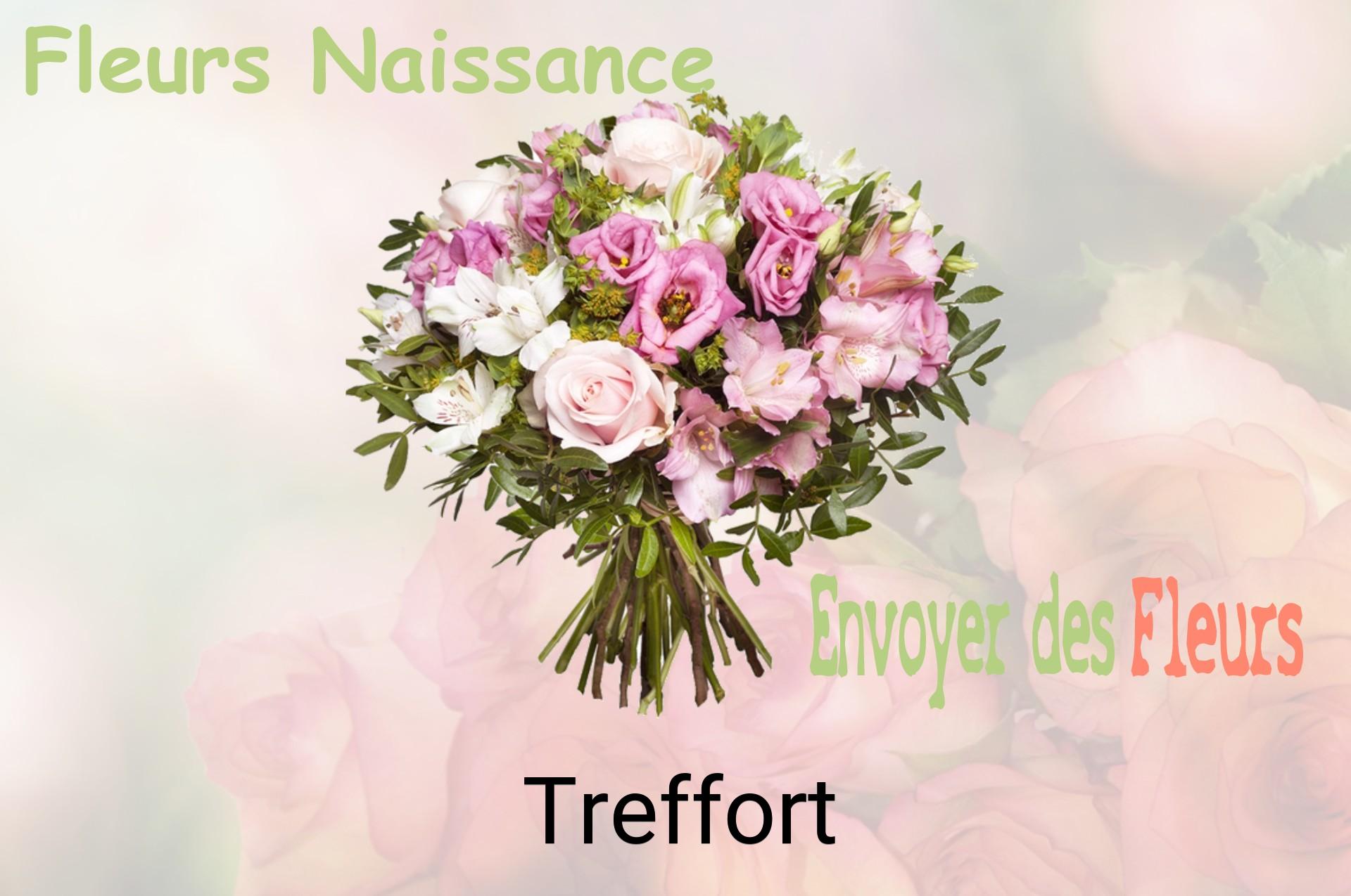 Bouquet de fleurs de naissance livré à Treffort