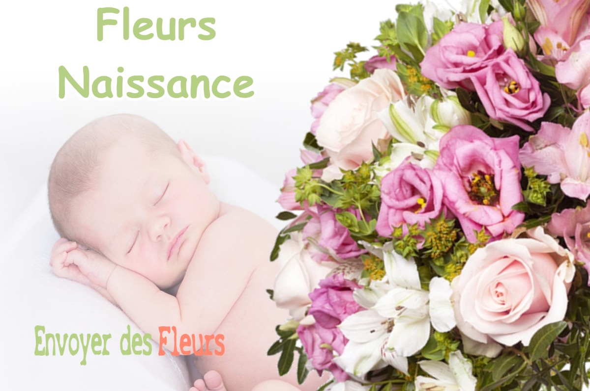 lIVRAISON FLEURS NAISSANCE à TREFFORT