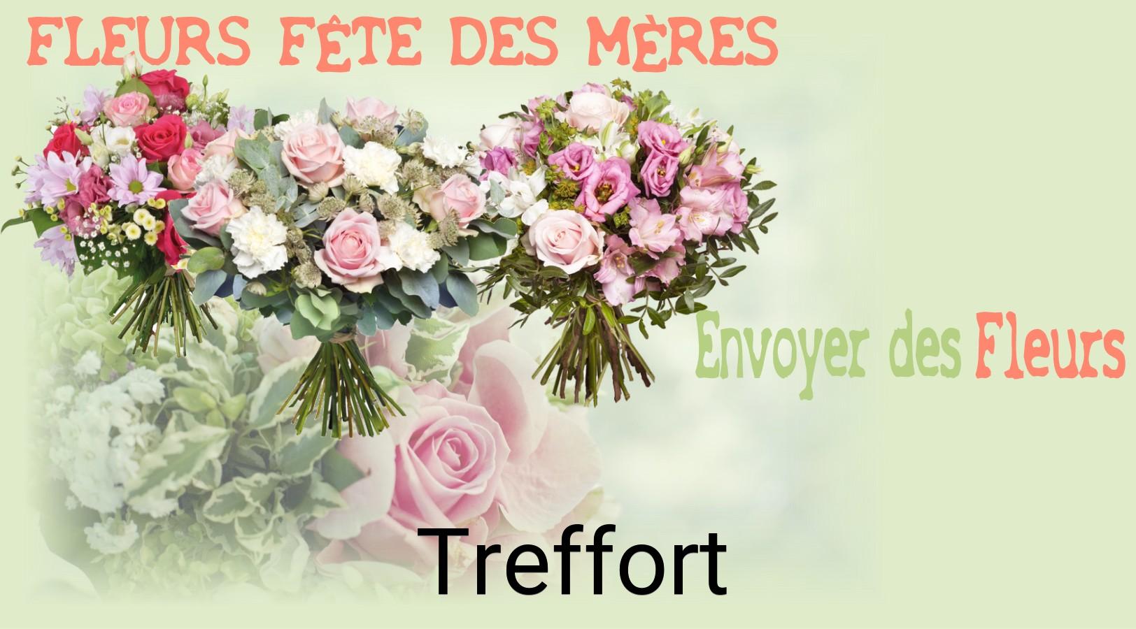 Bouquet de Fête des Mères livré à Treffort